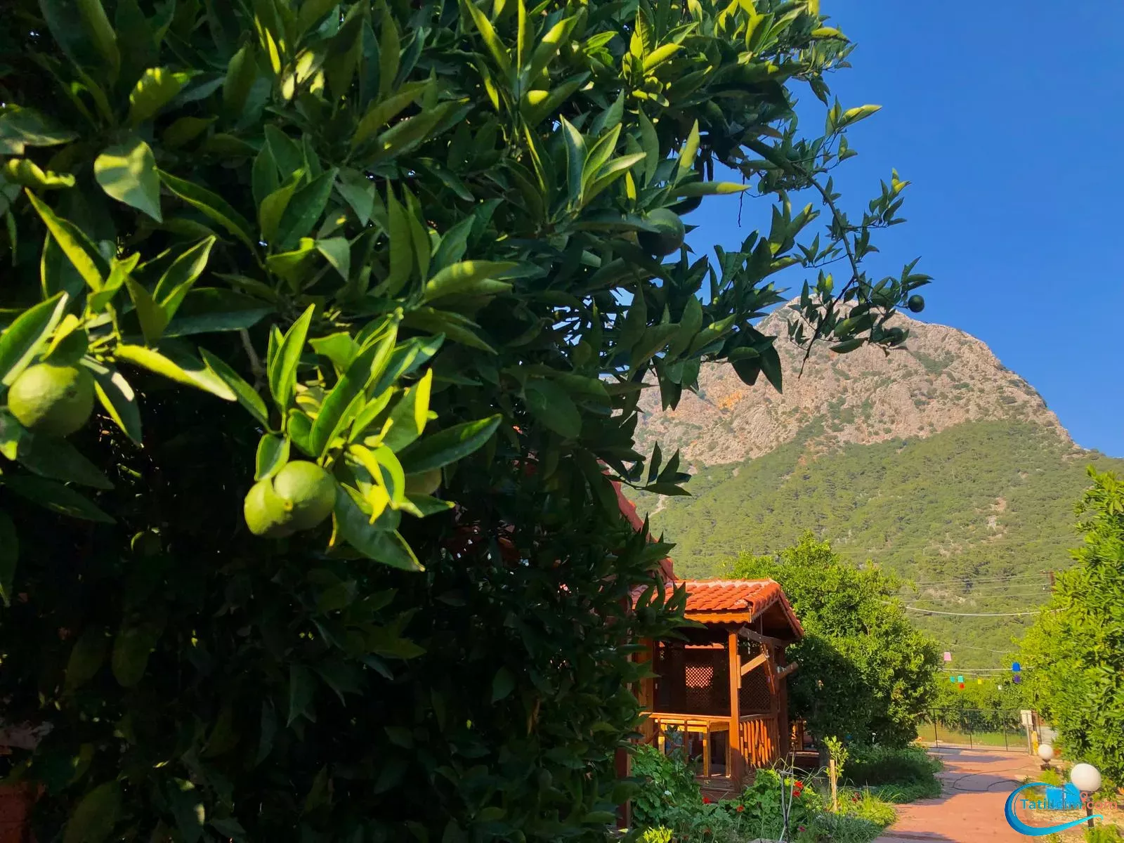 tatilcim.com Zehra Apart Evleri